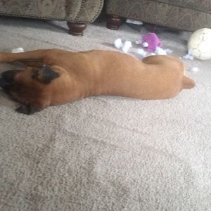 Meet your Posher, Danielle